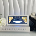 Totoro Anime Light Box